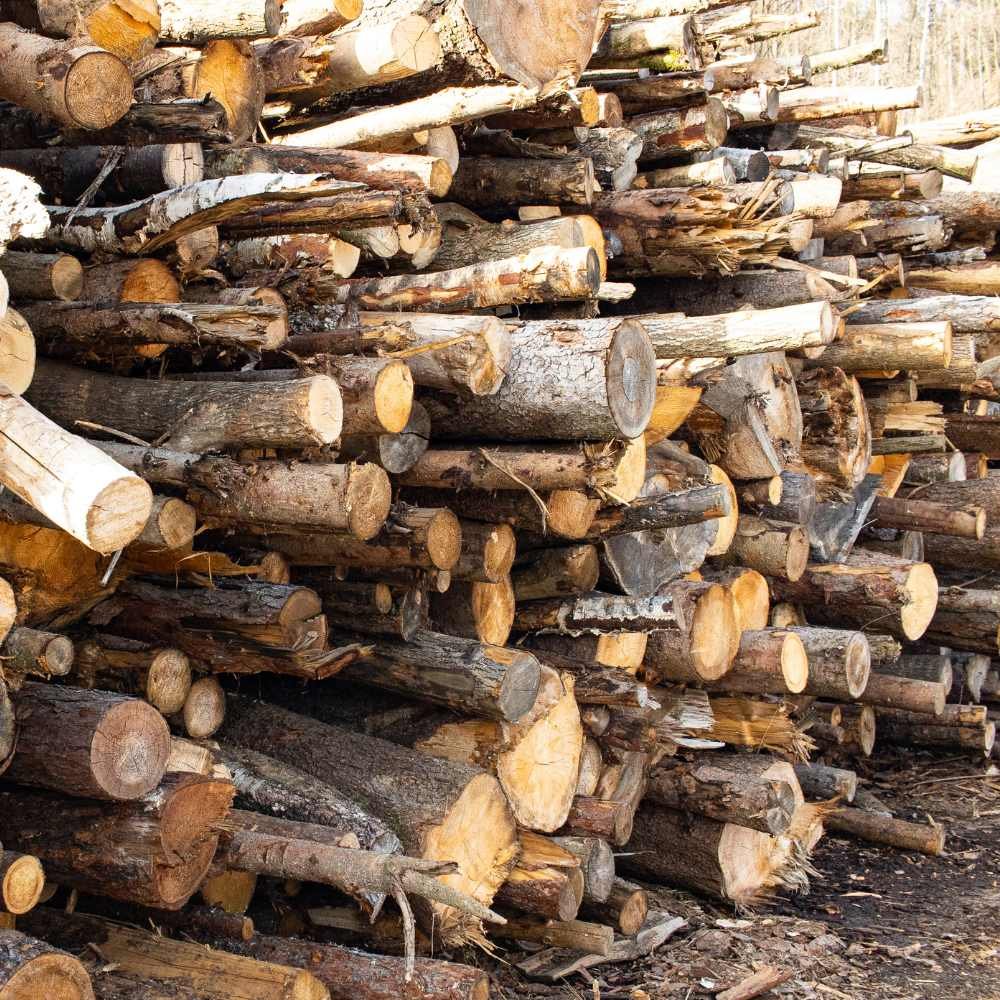 Timber